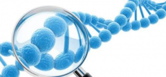 胚胎植入前基因检测概述