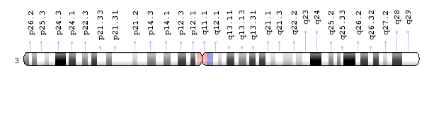 chromosome 3