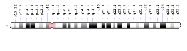 chromosome 5
