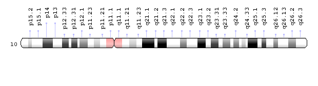 chromosome 10