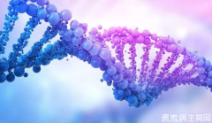 什么是基因突变,基因突变是如何发生的?