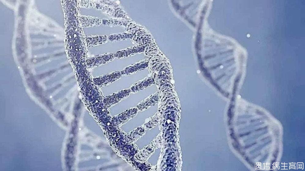 国外目前流行的基因检测套装DTC介绍
